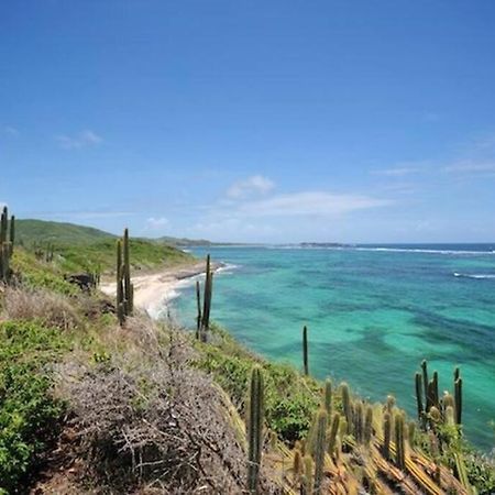 Hamo Tropical Piscine Proche Plage Apartment Sainte-Anne Bagian luar foto