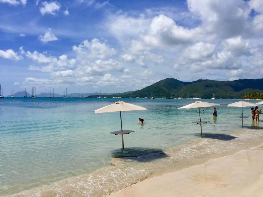 Hamo Tropical Piscine Proche Plage Apartment Sainte-Anne Bagian luar foto
