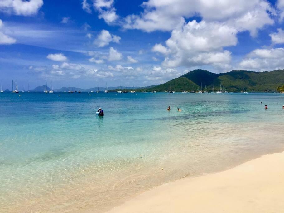 Hamo Tropical Piscine Proche Plage Apartment Sainte-Anne Bagian luar foto