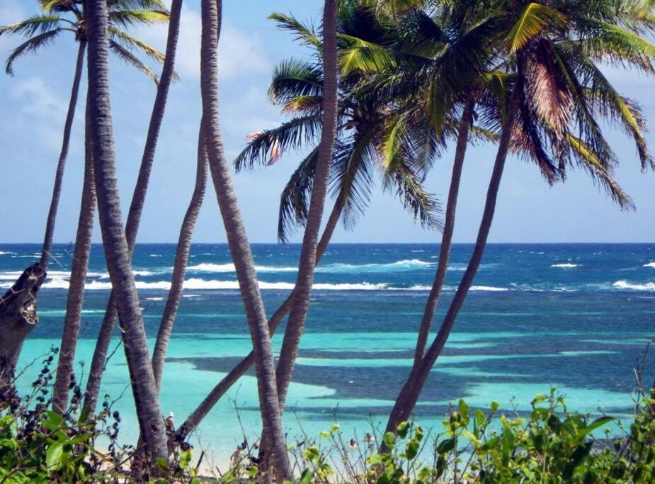 Hamo Tropical Piscine Proche Plage Apartment Sainte-Anne Bagian luar foto