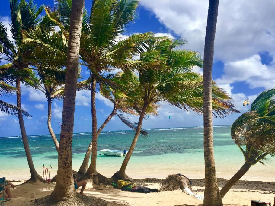 Hamo Tropical Piscine Proche Plage Apartment Sainte-Anne Bagian luar foto