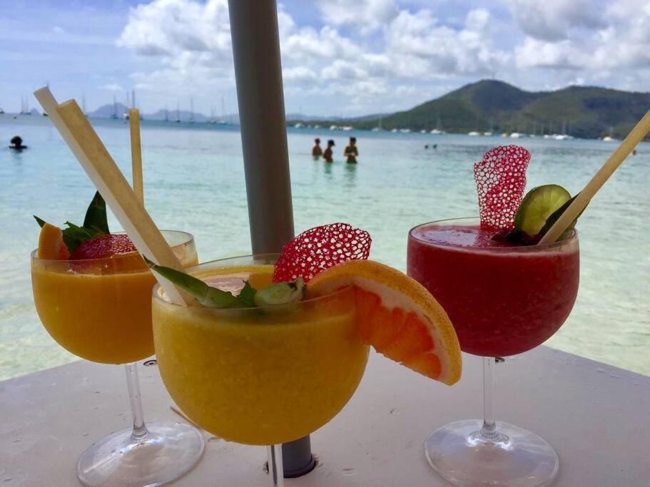 Hamo Tropical Piscine Proche Plage Apartment Sainte-Anne Bagian luar foto