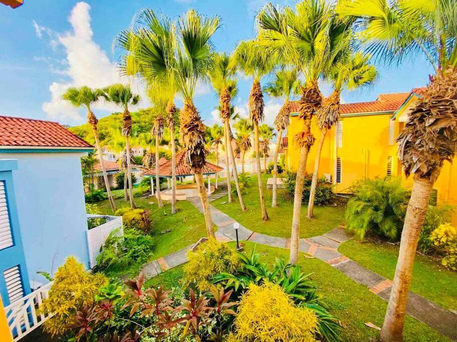 Hamo Tropical Piscine Proche Plage Apartment Sainte-Anne Bagian luar foto