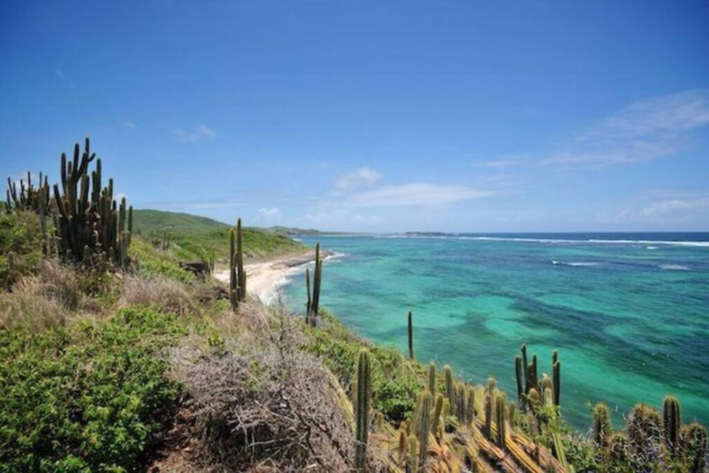 Hamo Tropical Piscine Proche Plage Apartment Sainte-Anne Bagian luar foto